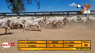 Lote LOTE 125