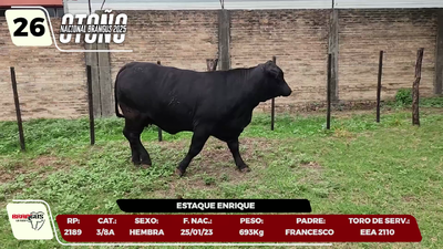 Lote LOTE 26