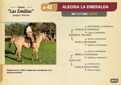Lote RP. 42 - ALEGRIA LA ESMERALDA - LAS EMILIAS