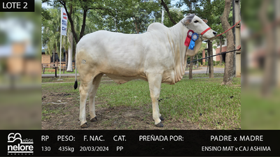 Lote LOTE 2