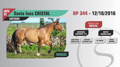 Lote Santa Ines CRISTAL