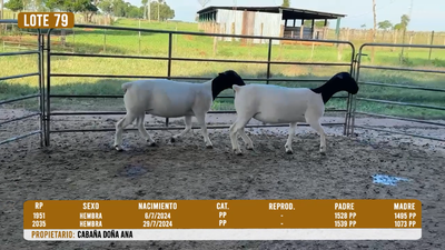 Lote LOTE 79