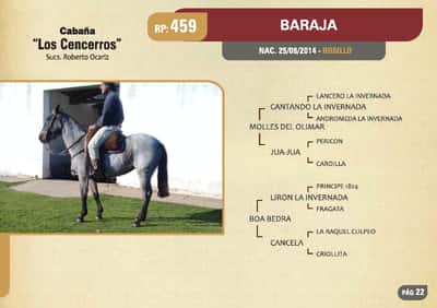 Lote RP. 459 - BARAJA - LOS CENCERROS
