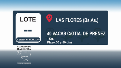 Lote 40 Vacas nuevas C/ gtia de preñez en Buenos Aires, Las Flores