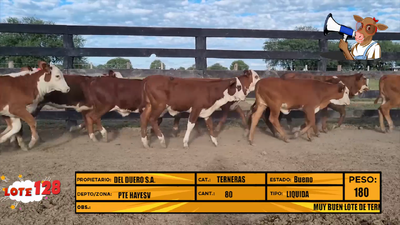 Lote LOTE 128