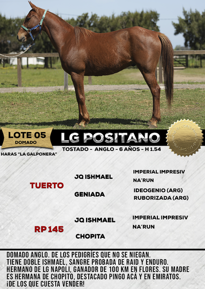 Lote LG POSITANO