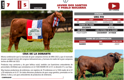 Lote LOTE 7