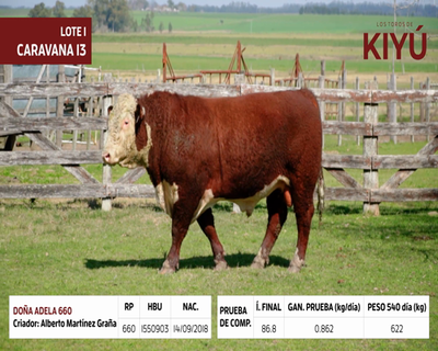 Lote DOÑA ADELA 660