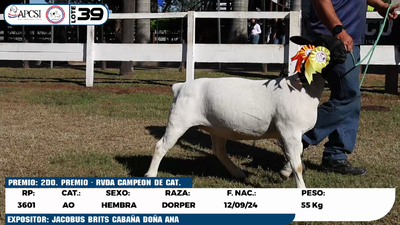 Lote LOTE 39