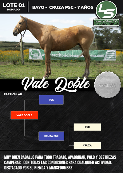 Lote VALE DOBLE