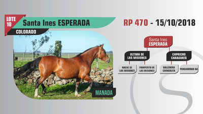 Lote Santa Ines ESPERADA