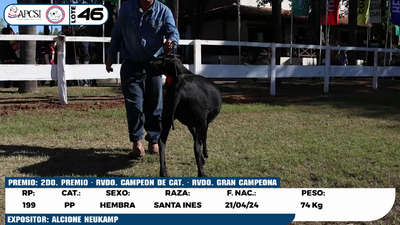 Lote LOTE 46
