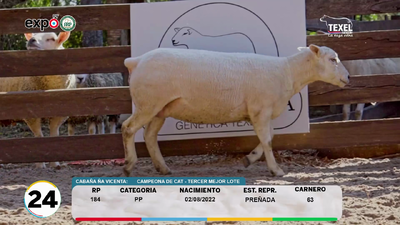 Lote LOTE 24
