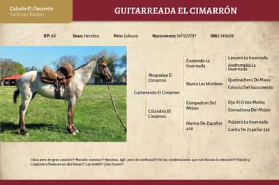 Lote Guitarreada El Cimarrón (RP 48) - Cabaña El Cimarrón