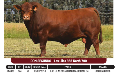 Lote "GENSUR" - DON SEGUNDO - Las Lilas 985 North 700