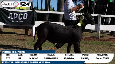 Lote LOTE 24