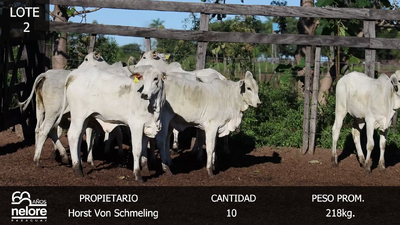 Imagen LOTE 2