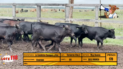 Lote LOTE 118