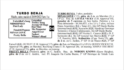 Lote TURBO BENJA
