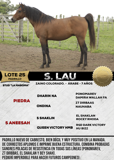 Lote S. LAU