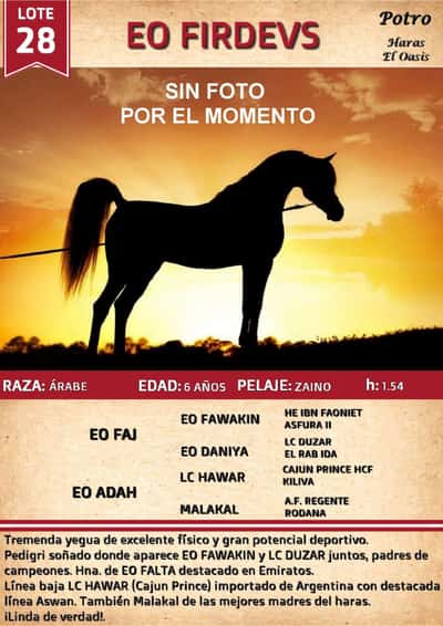 Lote EO FIRDEVS