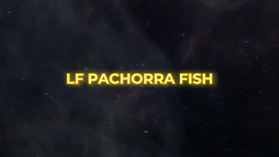 Lote LF Pachorra Fish