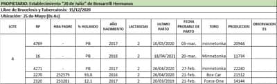 Lote Lote 4