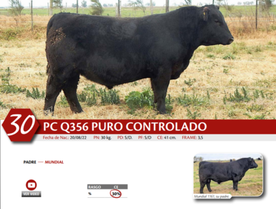 Lote MACHO PC