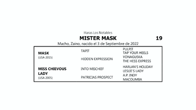 Lote MISTER MASK (MASK -  MISS CHIEVOUS LADY  por  INTO MISCHIEF)