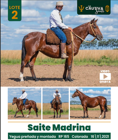 Lote LOTE 2