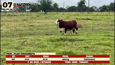 Lote LOTE 7