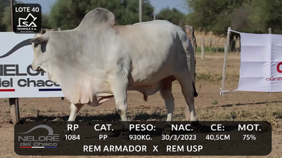 Lote LOTE 40