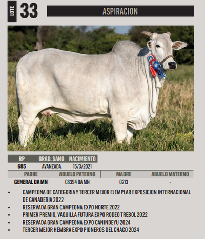 Lote LOTE 33