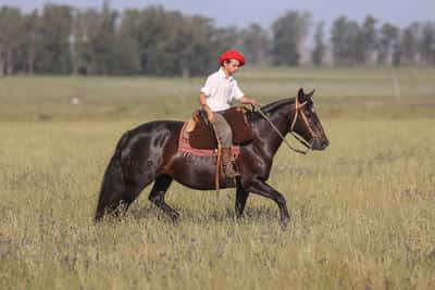 Lote DEL SILENCIO ATRASADA
