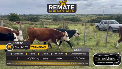 Lote 6 Terneras en Artilleros, Colonia