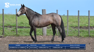 Lote QUEBRACHA LA CARRETA