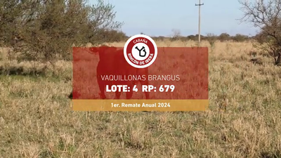 Lote FORTINRIFLES 679