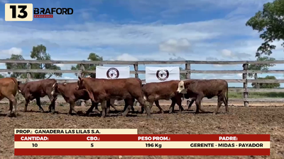 Lote LOTE 13- POR PANTALLA
