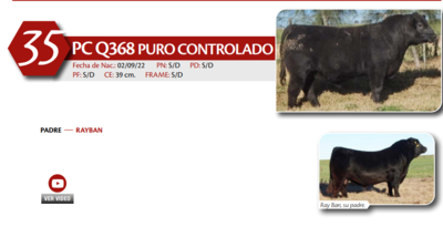 Lote MACHO PC