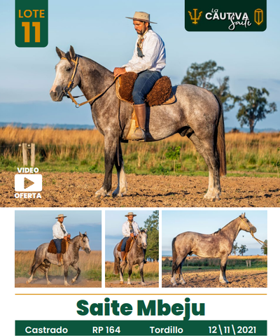 Lote LOTE 11
