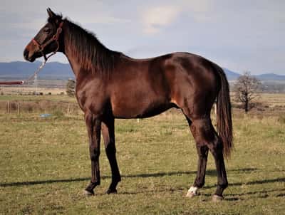 Lote ESSAYONS TOUCH