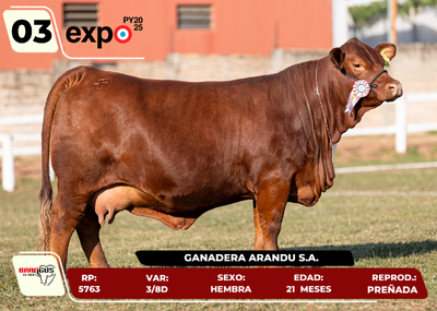Lote LOTE 3