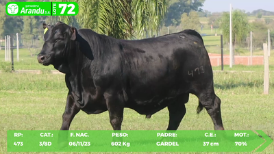 Lote LOTE 72