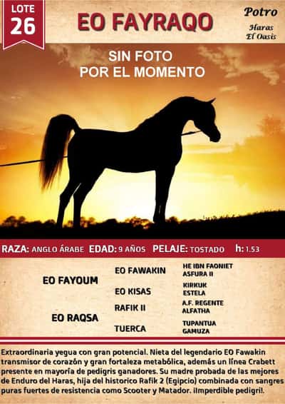Lote EO FAYRAQO