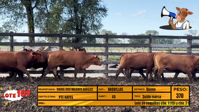 Lote LOTE 109