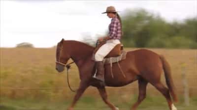 Lote Conquistadora Don Miguel