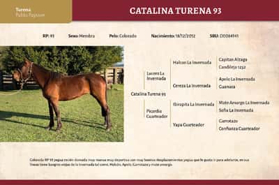 Lote Catalina Turena 93 (RP 93) - Cabaña "Turena"