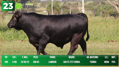 Lote LOTE 23