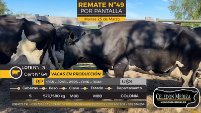 Lote 5 Vacas Preñadas Holando en Estanzuela, Colonia
