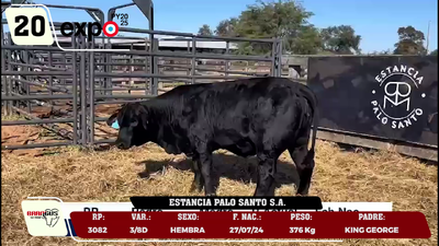 Lote LOTE 20